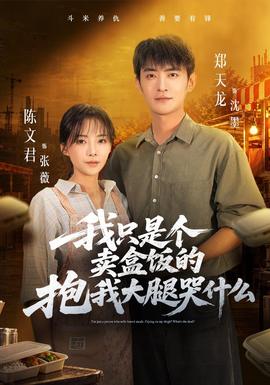 我只是个卖盒饭的抱我大腿哭什么封面